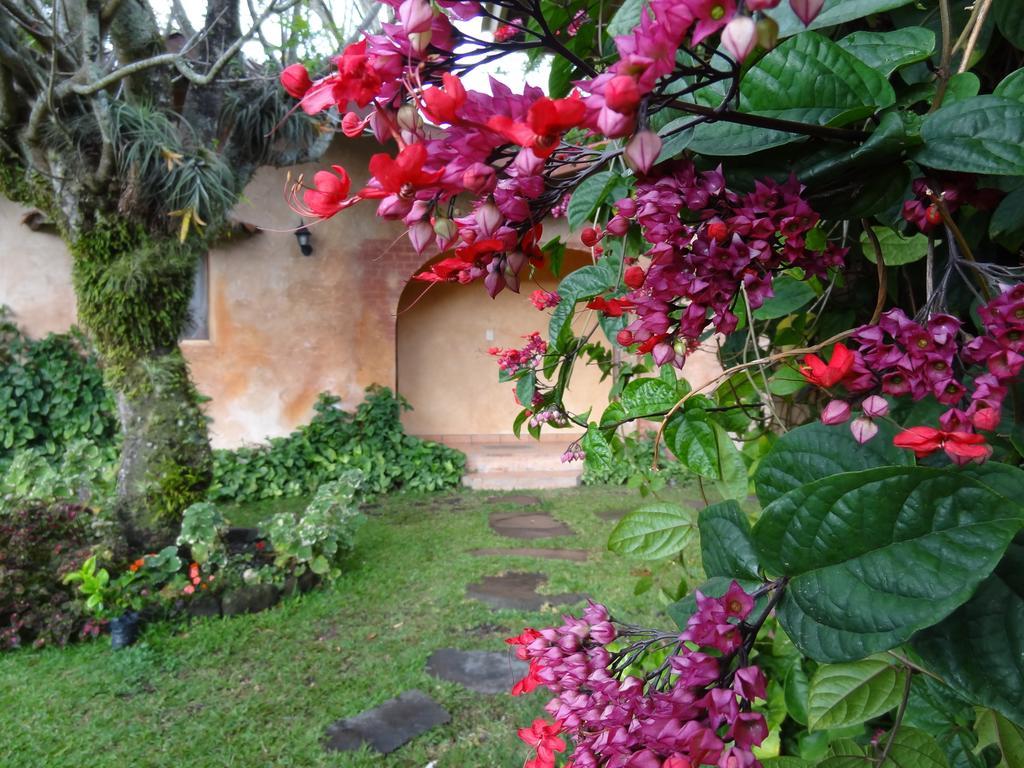 Valle Primavera Hotel โบเกเต ภายนอก รูปภาพ